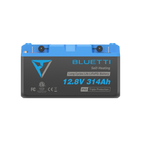 Buy B1232 LiFePO₄ Battery | 12.8 V, 314 Ah - Mud Tracks